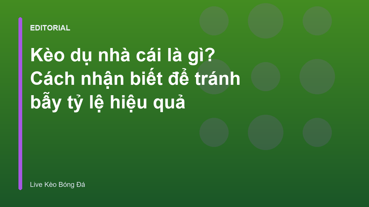Người chơi bóng đá đang phân tích bảng tỷ lệ kèo nhà cái